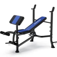 Winnow Adjustable Weight Bench Home Gym Full Body Workout Multifunctional
